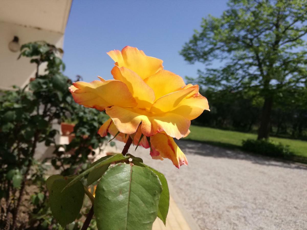 B&B Villa Napoli Battipaglia Ngoại thất bức ảnh