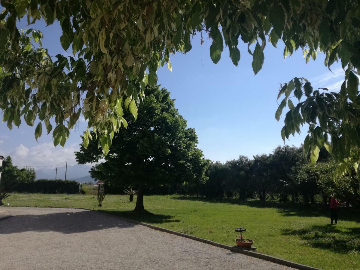 B&B Villa Napoli Battipaglia Ngoại thất bức ảnh